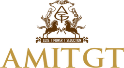 Amit GT logo